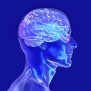Fotolia_1221263_S (2)a