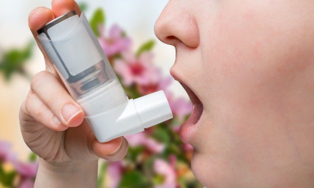 Antioxidants in the Diet, Junk Food and Asthma