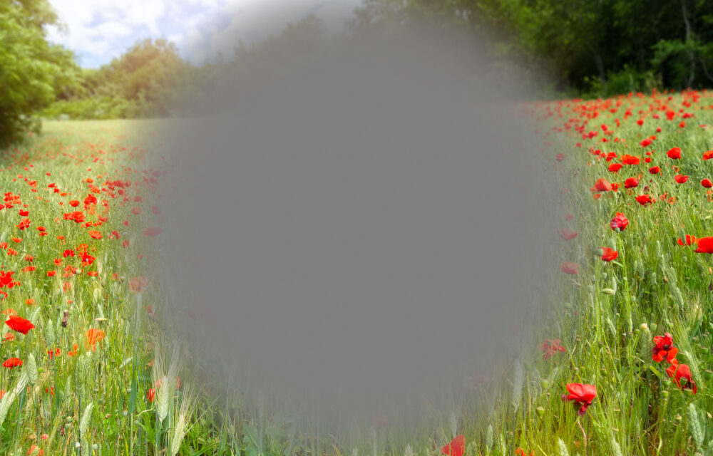 Macular Degeneration and Antioxidants: Protecting Vision with Nutrition