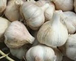 garlic 2