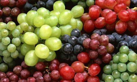 Flavonoids and Allergies