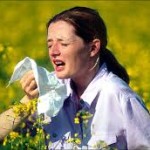 hayfever