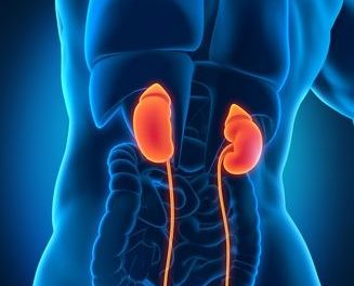 Fish Oil for Kidney Health