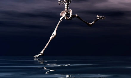 Nutrients to Prevent Osteoporosis