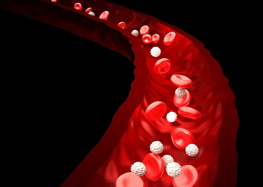 Magnesium for Healthy Blood Vessels
