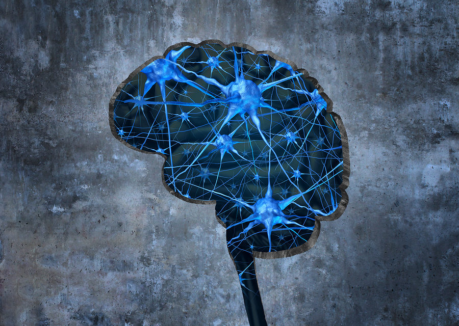 A Multiple Vitamin may Improve Cognition
