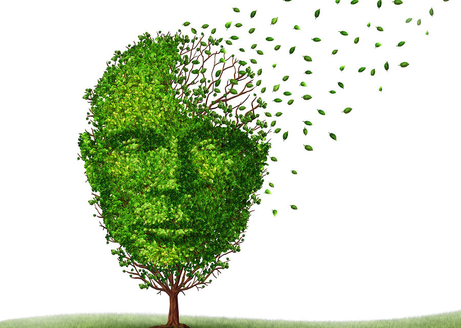 Depression, Dementia and Vitamin B12