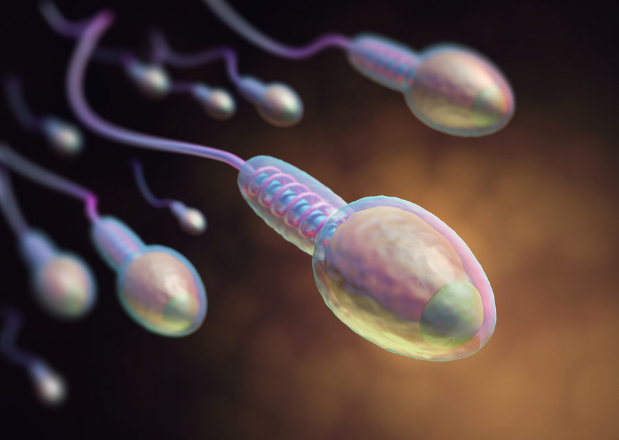 Oligozoospermia and one Possible Treatment