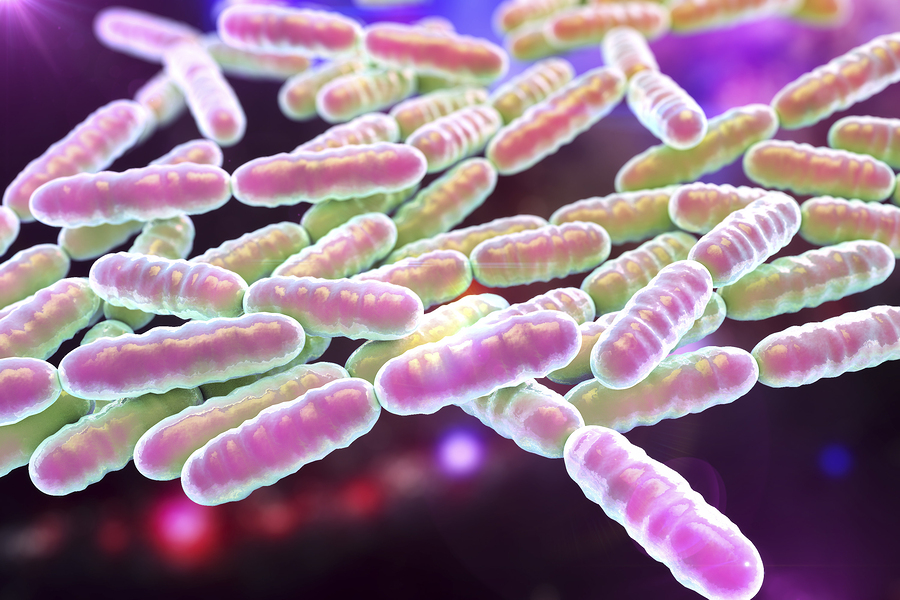 Many Health Benefits of Probiotics
