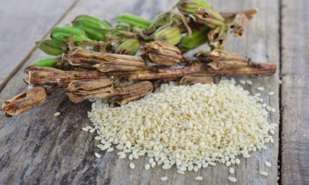 Sesame and Post-Menopause Health