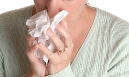 Echinacea for the Common Cold?