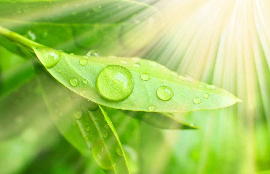 Natural Health Care and Asthma