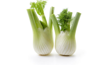 Fennel and Infantile Colic