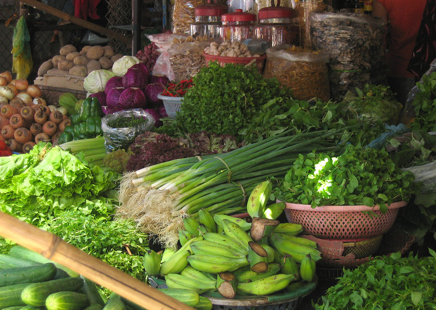 Folic Acid and Cancer