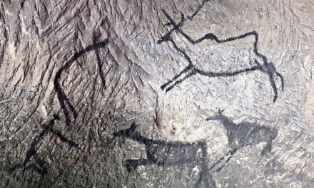 History of Health Care