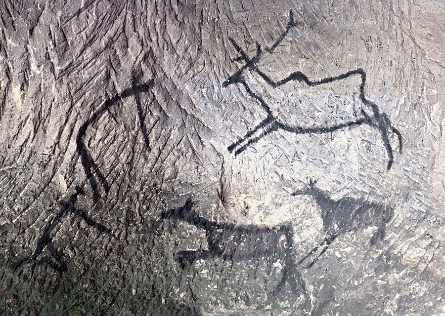 History of Health Care