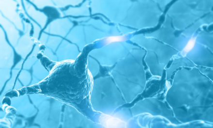 Natural Health Care and the Nervous System