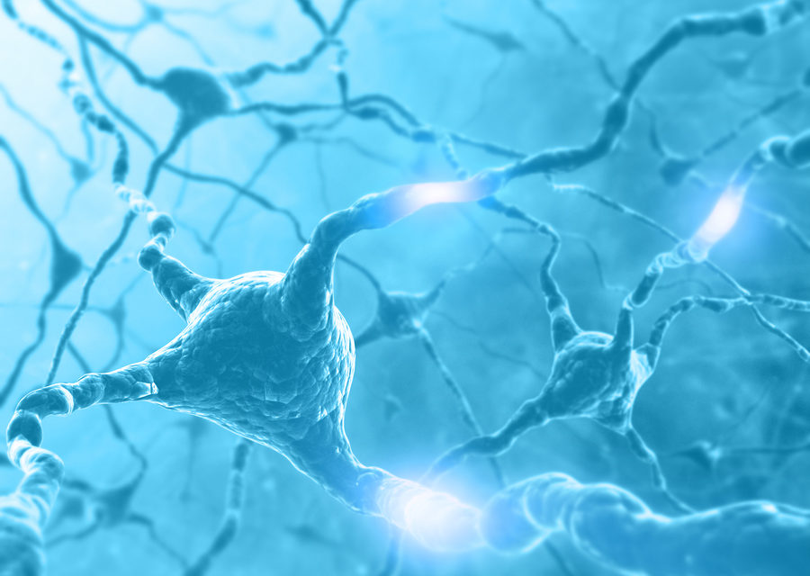 Natural Health Care and the Nervous System