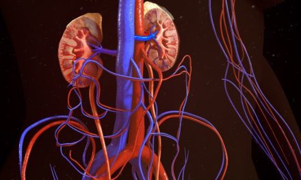 Thiamin, Diabetes and the Kidney