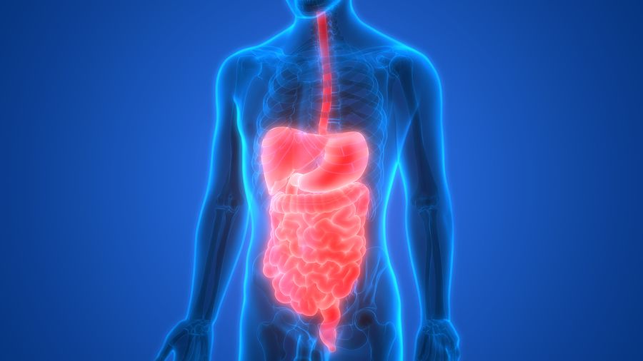 Special Report for People with High Scores for Digestion in the Health Questionnaire