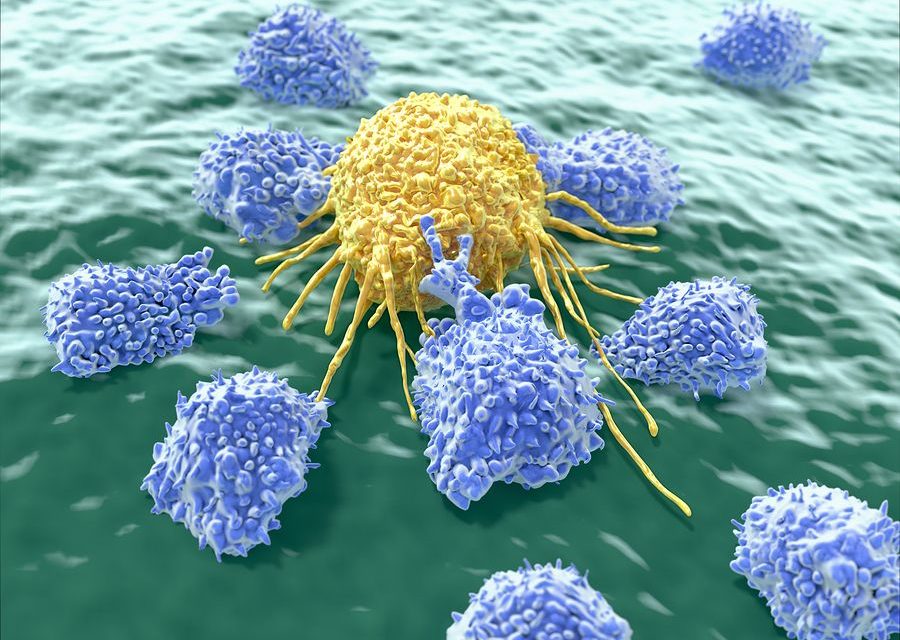 Vitamin C and Cancer