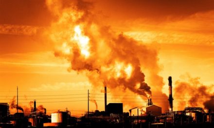 Thyroid, Brain Function and the Environment