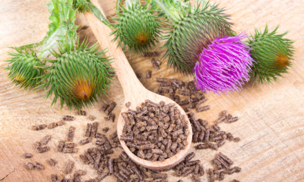 Silymarin and Hepatitis C