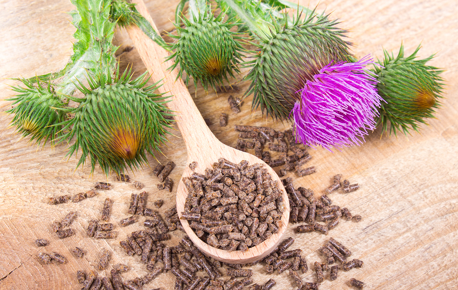 Silymarin and Hepatitis C