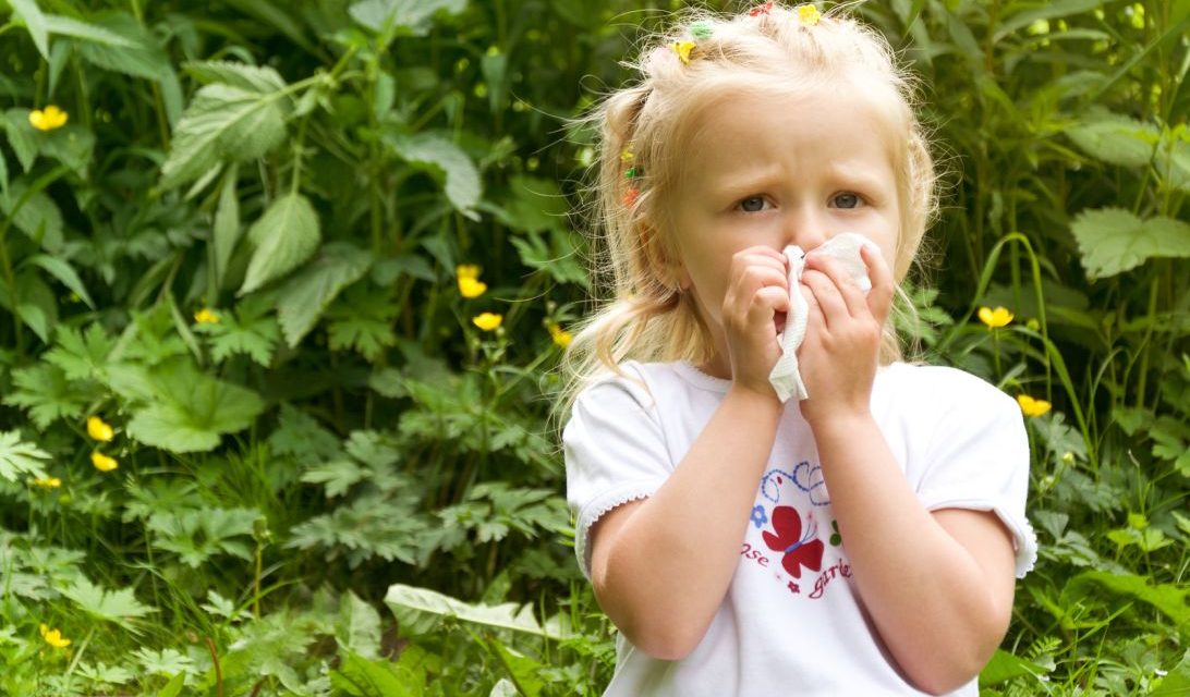 Is There a Connection Between Bowel Flora and Allergies?