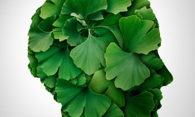 Ginkgo Biloba, MS Patients and Cognitive Decline