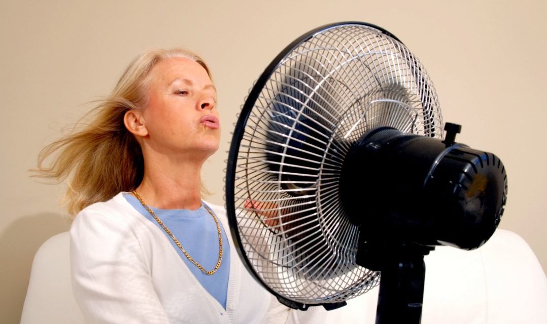 Vitamin E and Hot Flashes