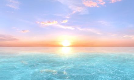 Cancer, the Sun and Vitamin D