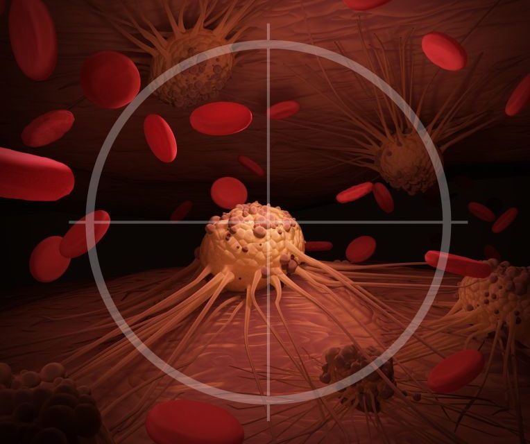 Vitamin K may Posses Anti-Tumor Activity