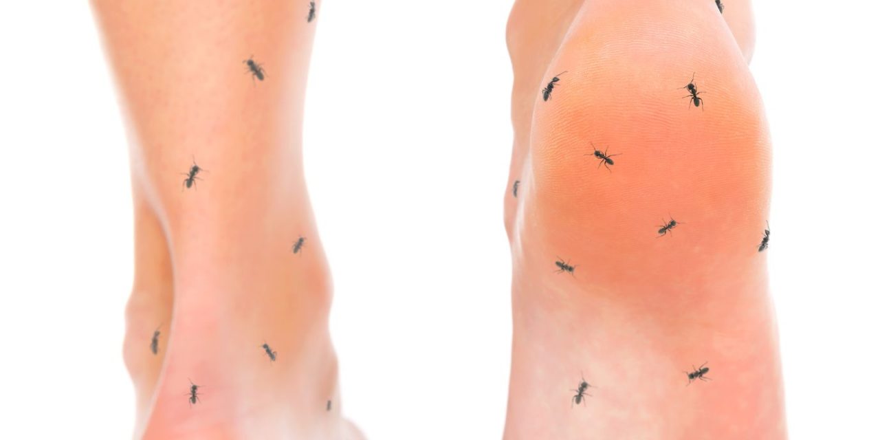 Vitamin E and Neuropathy