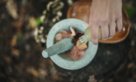 Herbs for Back Pain?