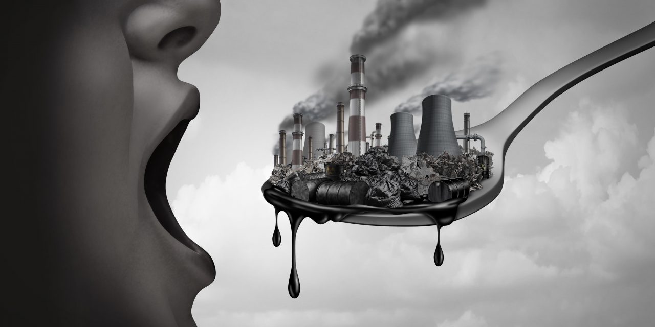 Chemical Pollution and Obesity