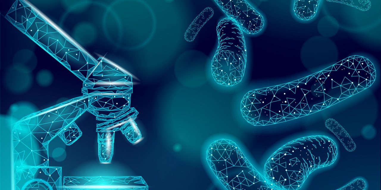 Probiotics and the Immune System