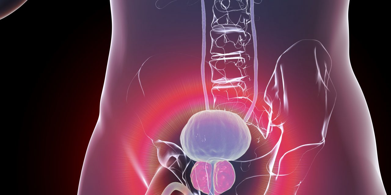 Resveratrol and Prostate Cancer