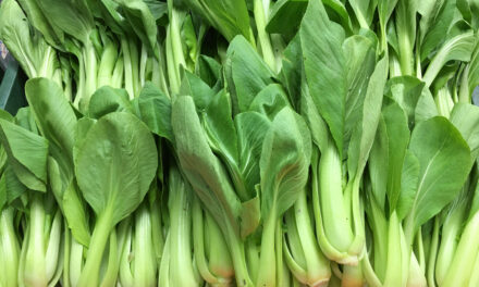 Paleo Bok Choy
