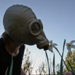 Allergies? You Are not Alone