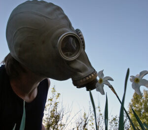 Allergies? You Are not Alone