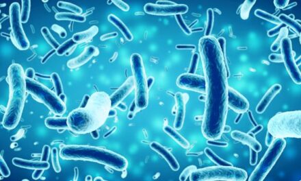 Probiotics and the Immune System: How Gut Health Shapes Immunity