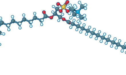 Phosphatidylcholine (PC): The Cell Membrane’s Unsung Hero