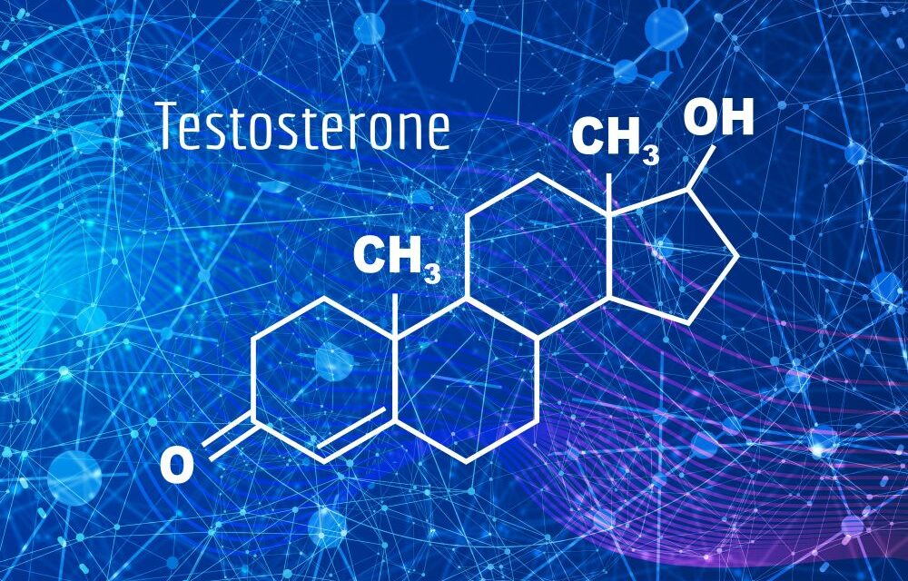 Natural Strategies to Support Testosterone and Hormone Balance in Men